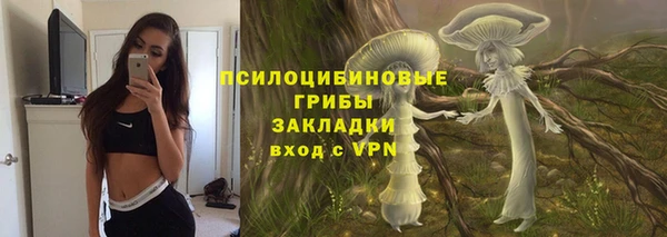 spice Аркадак