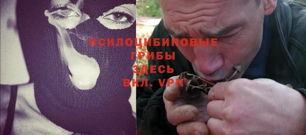 spice Аркадак