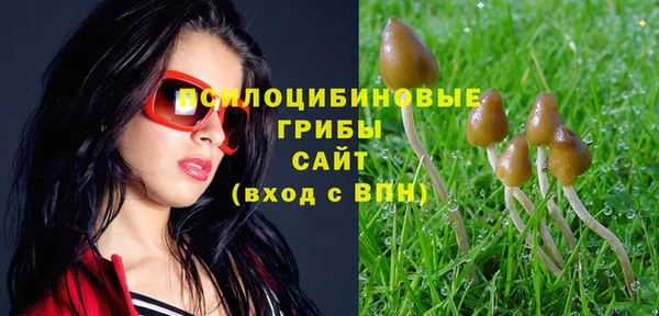 a pvp Алзамай