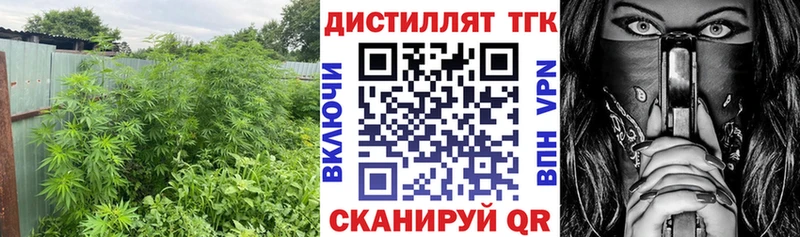 продажа наркотиков  Реж  Дистиллят ТГК гашишное масло 