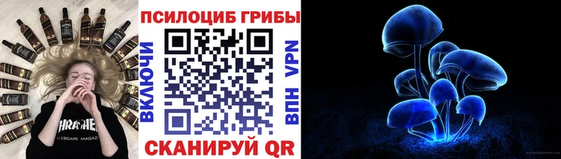 Галлюциногенные грибы мицелий  купить   MEGA ONION  Реж 